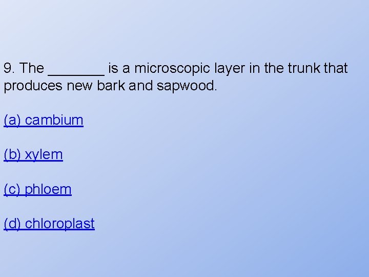 9. The _______ is a microscopic layer in the trunk that produces new bark