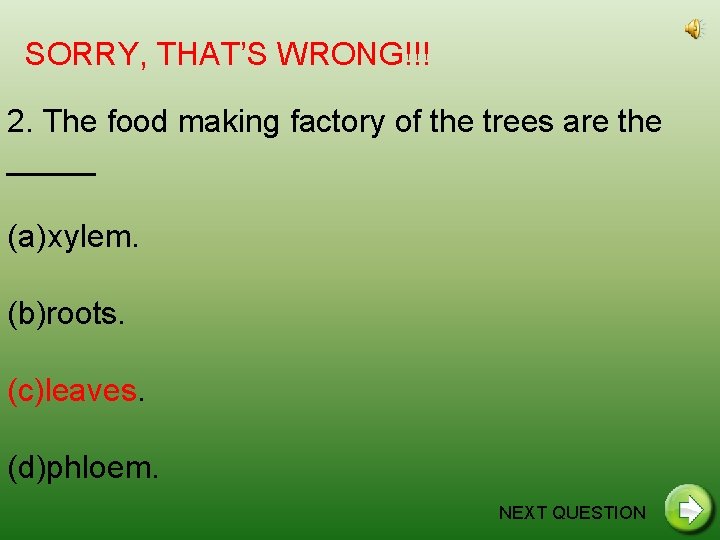 SORRY, THAT’S WRONG!!! 2. The food making factory of the trees are the _____