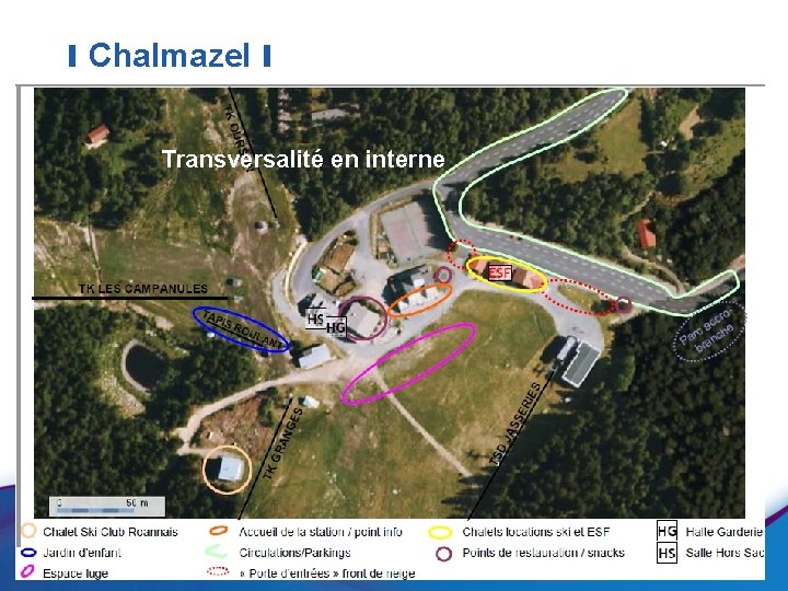 I Chalmazel I Transversalité en interne 