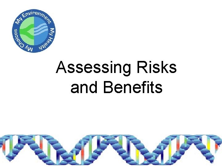 Assessing Risks and Benefits 