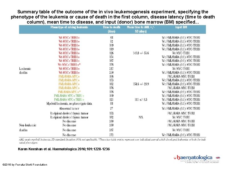 Summary table of the outcome of the in vivo leukemogenesis experiment, specifying the phenotype