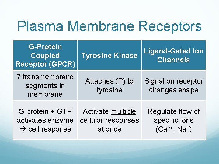 Plasma Membrane Receptors G-Protein Ligand-Gated Ion Tyrosine Kinase Coupled Channels Receptor (GPCR) 7 transmembrane