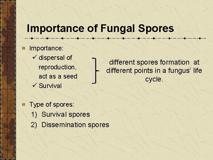 MYCOLOGY MIC 206 SPORULATION AND BUDDING General characteristics