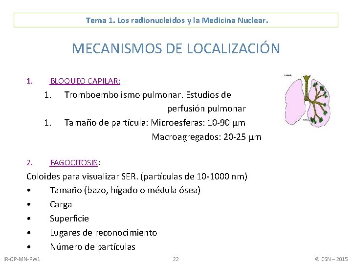 Tema 1. Los radionucleidos y la Medicina Nuclear. MECANISMOS DE LOCALIZACIÓN 1. BLOQUEO CAPILAR: