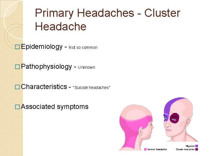 Primary Headaches - Cluster Headache � Epidemiology - Not so common � Pathophysiology �