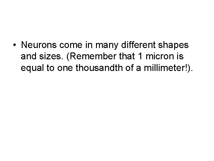 • Neurons come in many different shapes and sizes. (Remember that 1 micron • Neurons come in many different shapes and sizes. (Remember that 1 micron