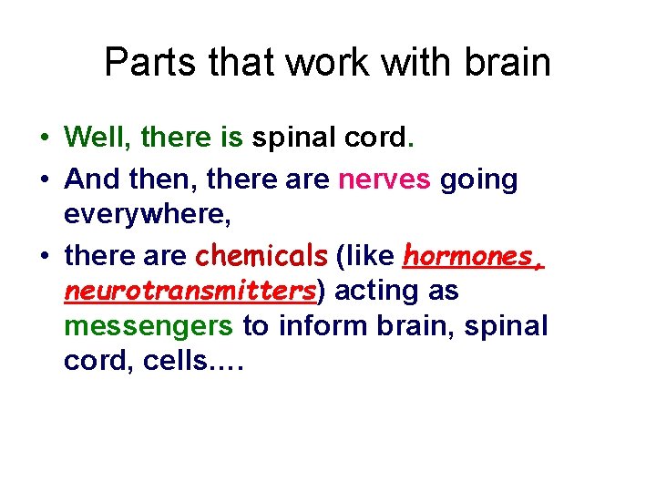 Parts that work with brain • Well, there is spinal cord. • And then,