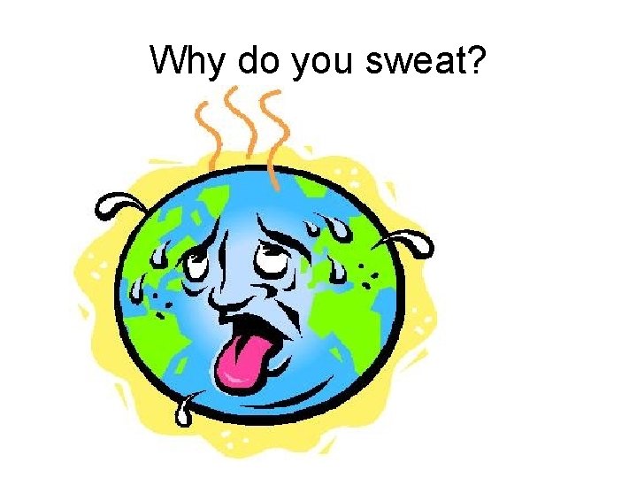 Why do you sweat? Why do you sweat?