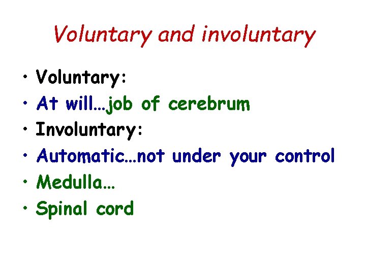 Voluntary and involuntary • • • Voluntary: At will…job of cerebrum Involuntary: Automatic…not under