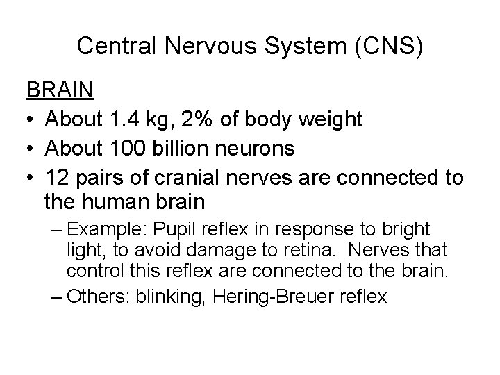 Central Nervous System (CNS) BRAIN • About 1. 4 kg, 2% of body weight