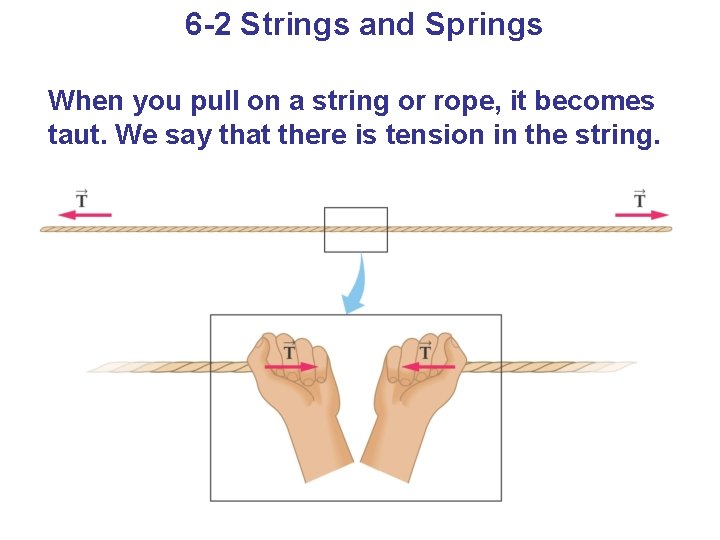 6 -2 Strings and Springs When you pull on a string or rope, it
