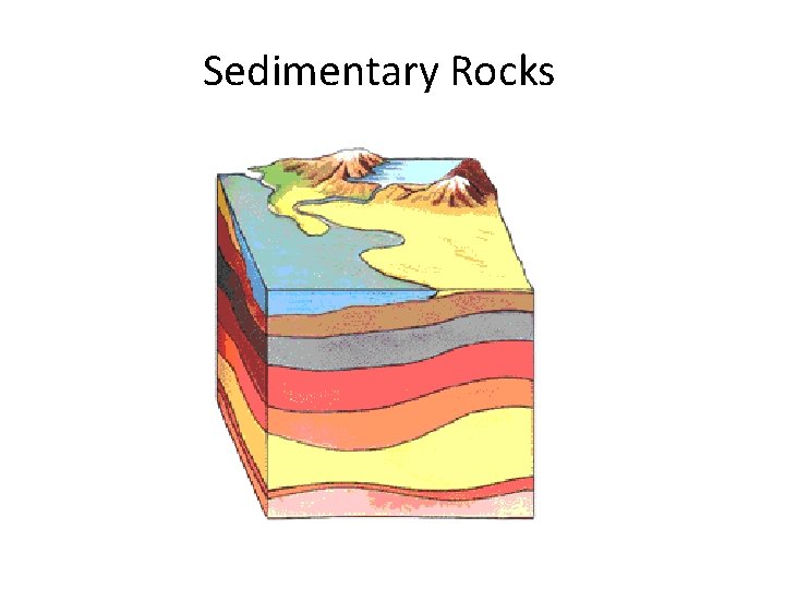 Sedimentary Rocks 