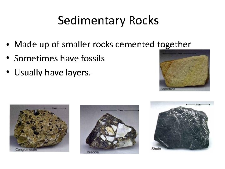 Sedimentary Rocks • Made up of smaller rocks cemented together • Sometimes have fossils