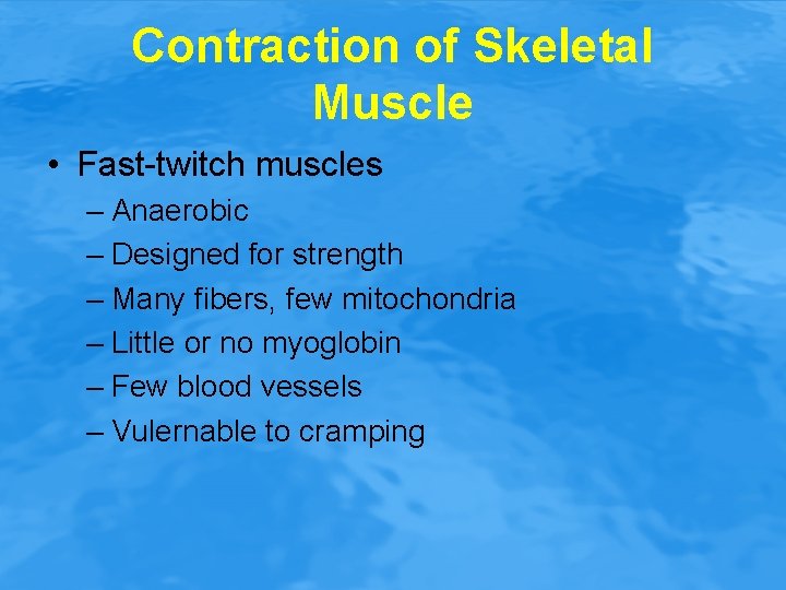 Contraction of Skeletal Muscle • Fast-twitch muscles – Anaerobic – Designed for strength –