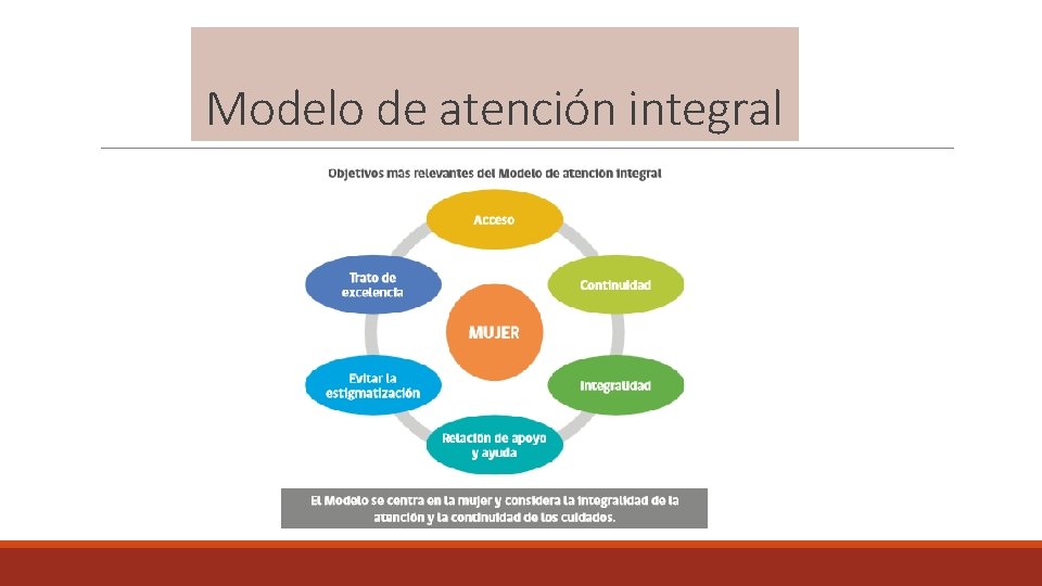 Modelo de atención integral 