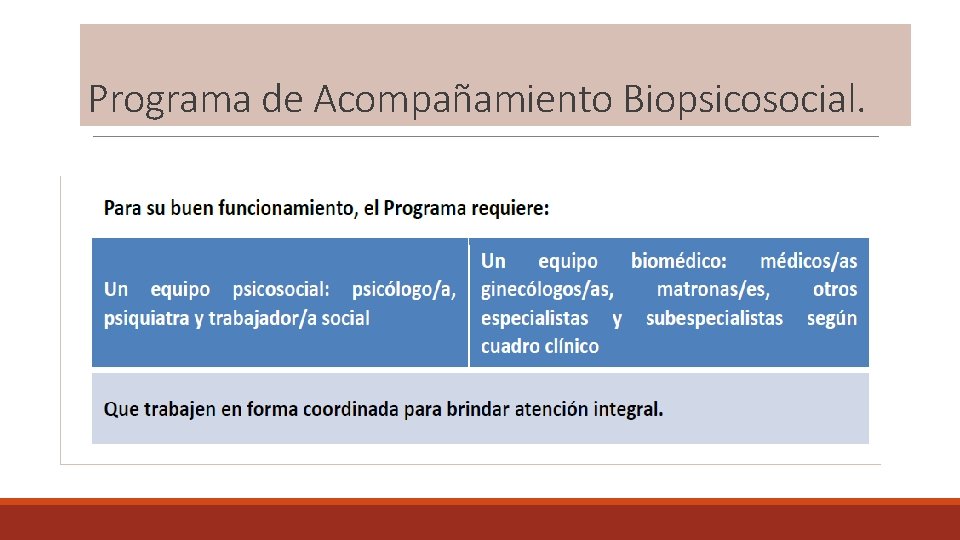 Programa de Acompañamiento Biopsicosocial. 