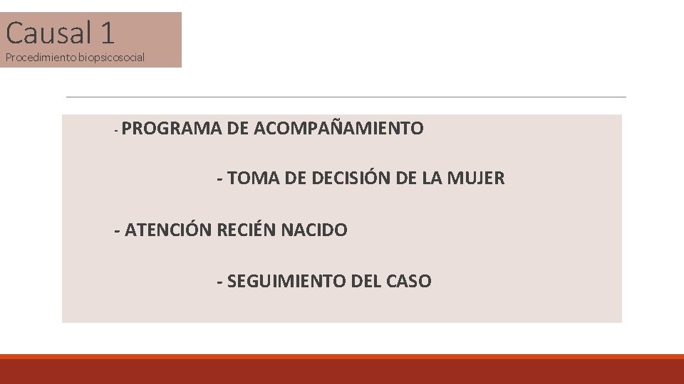 Causal 1 Procedimiento biopsicosocial - PROGRAMA DE ACOMPAÑAMIENTO - TOMA DE DECISIÓN DE LA