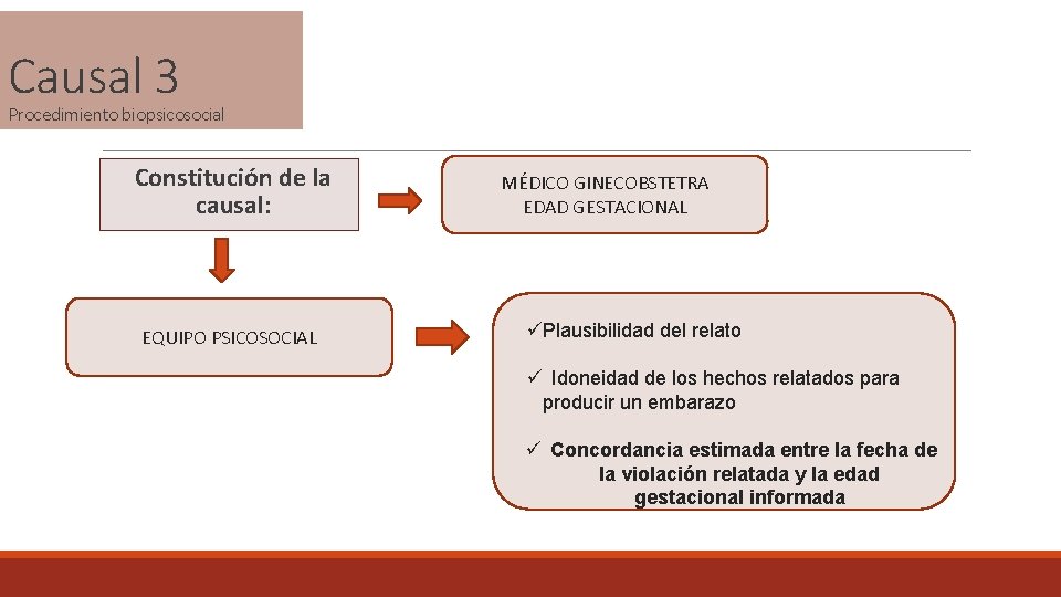 Causal 3 Procedimiento biopsicosocial Constitución de la causal: EQUIPO PSICOSOCIAL MÉDICO GINECOBSTETRA EDAD GESTACIONAL