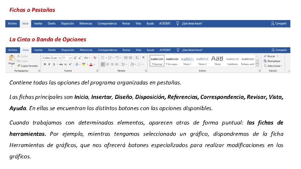 Fichas o Pestañas La Cinta o Banda de Opciones Contiene todas las opciones del