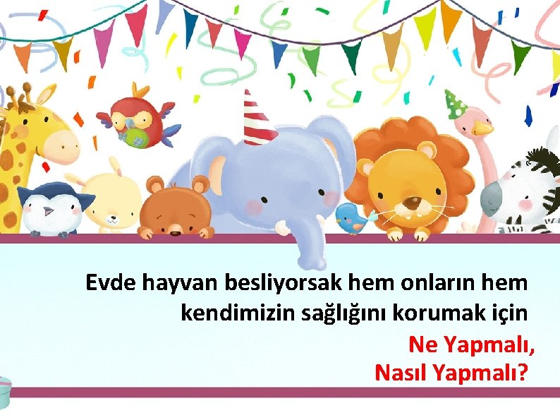 Evde hayvan besliyorsak hem onların hem kendimizin sağlığını korumak için Ne Yapmalı, Nasıl Yapmalı?