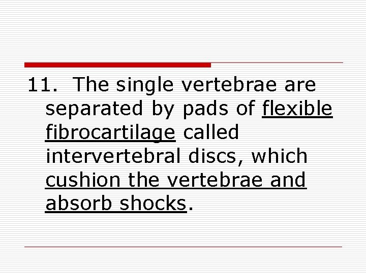 11. The single vertebrae are separated by pads of flexible fibrocartilage called intervertebral discs,