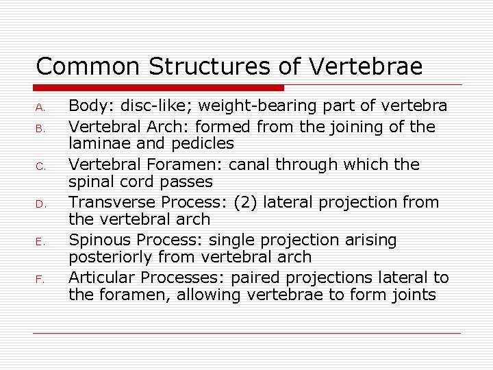 Common Structures of Vertebrae A. B. C. D. E. F. Body: disc-like; weight-bearing part