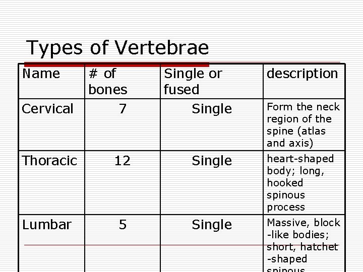 Types of Vertebrae Name Cervical # of bones 7 Single or fused Single description
