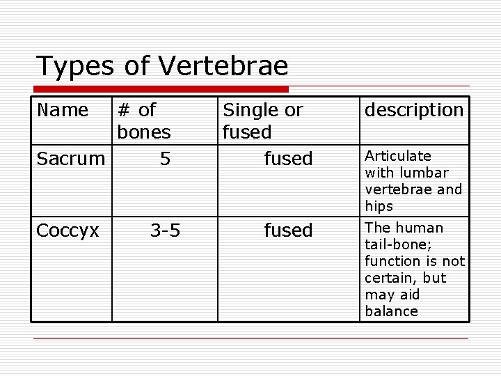 Types of Vertebrae Name # of bones Sacrum 5 Coccyx 3 -5 Single or