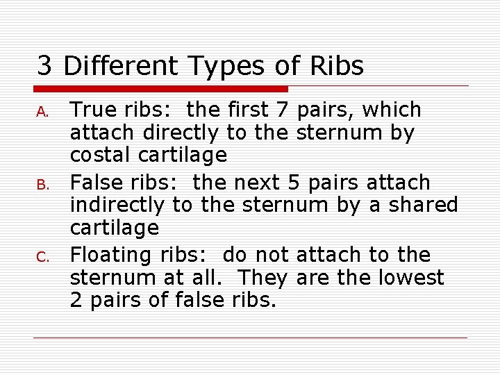 3 Different Types of Ribs A. B. C. True ribs: the first 7 pairs,