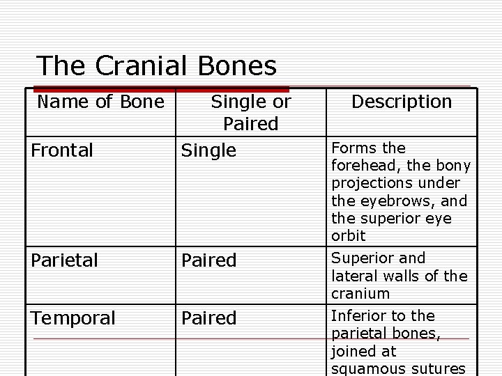 The Cranial Bones Name of Bone Frontal Single or Paired Single Description Parietal Paired