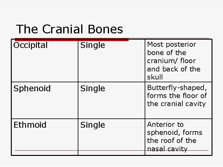 The Cranial Bones Occipital Single Most posterior bone of the cranium/ floor and back