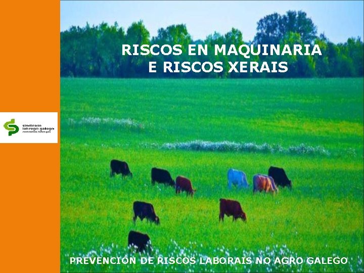 RISCOS EN MAQUINARIA E RISCOS XERAIS PREVENCIÓN DE RISCOS LABORAIS NO AGRO GALEGO 