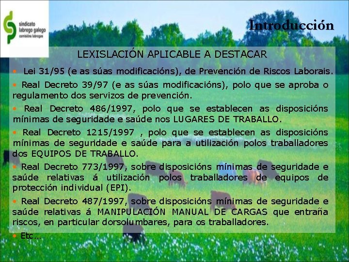 Introducción LEXISLACIÓN APLICABLE A DESTACAR • Lei 31/95 (e as súas modificacións), de Prevención