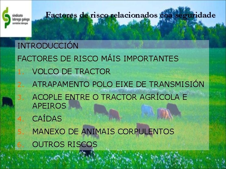 Factores de risco relacionados coa seguridade INTRODUCCIÓN FACTORES DE RISCO MÁIS IMPORTANTES 1. VOLCO