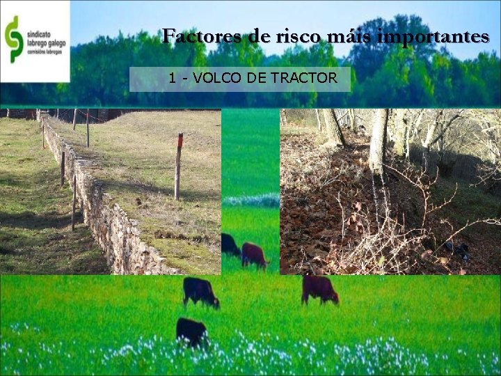 Factores de risco máis importantes 1 - VOLCO DE TRACTOR 