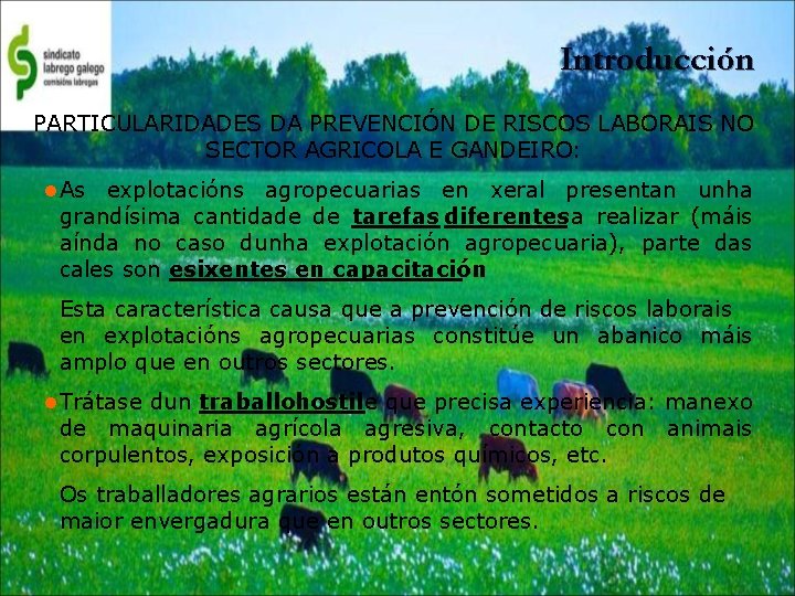 Introducción PARTICULARIDADES DA PREVENCIÓN DE RISCOS LABORAIS NO SECTOR AGRICOLA E GANDEIRO: As explotacións