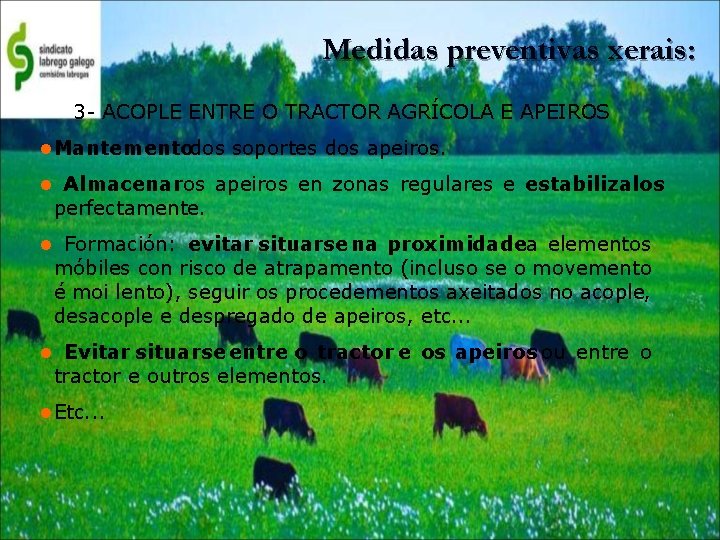 Medidas preventivas xerais: 3 - ACOPLE ENTRE O TRACTOR AGRÍCOLA E APEIROS Mantementodos soportes