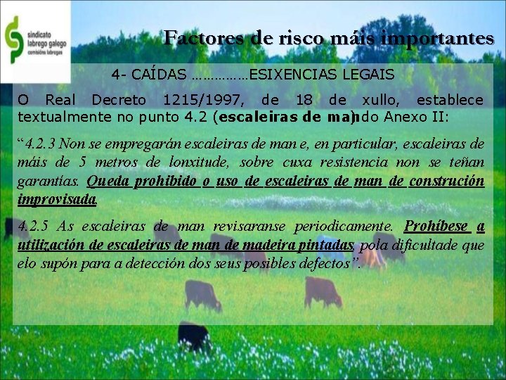 Factores de risco máis importantes 4 - CAÍDAS ……………ESIXENCIAS LEGAIS O Real Decreto 1215/1997,