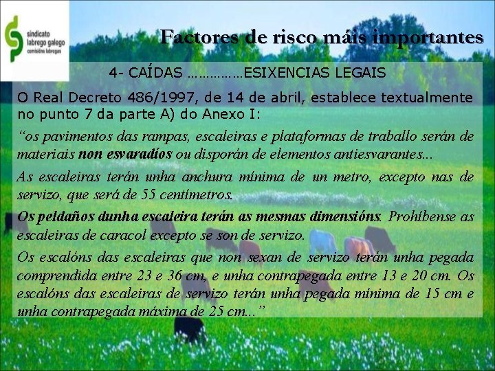 Factores de risco máis importantes 4 - CAÍDAS ……………ESIXENCIAS LEGAIS O Real Decreto 486/1997,