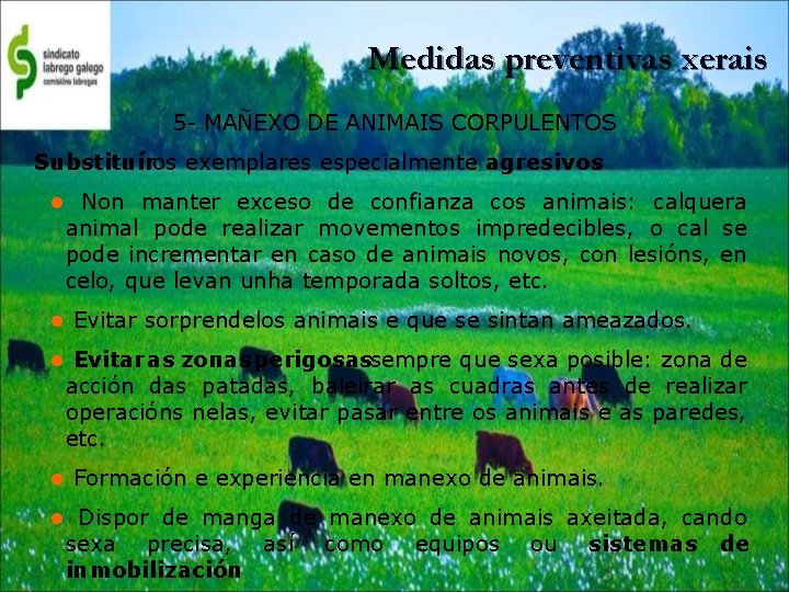 Medidas preventivas xerais 5 - MAÑEXO DE ANIMAIS CORPULENTOS Substituíros exemplares especialmente agresivos. Non