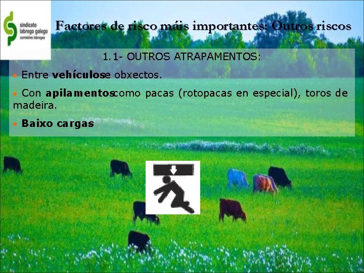 Factores de risco máis importantes: Outros riscos 1. 1 - OUTROS ATRAPAMENTOS: • Entre