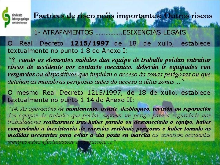 Factores de risco máis importantes: Outros riscos 1 - ATRAPAMENTOS ……………. ESIXENCIAS LEGAIS O