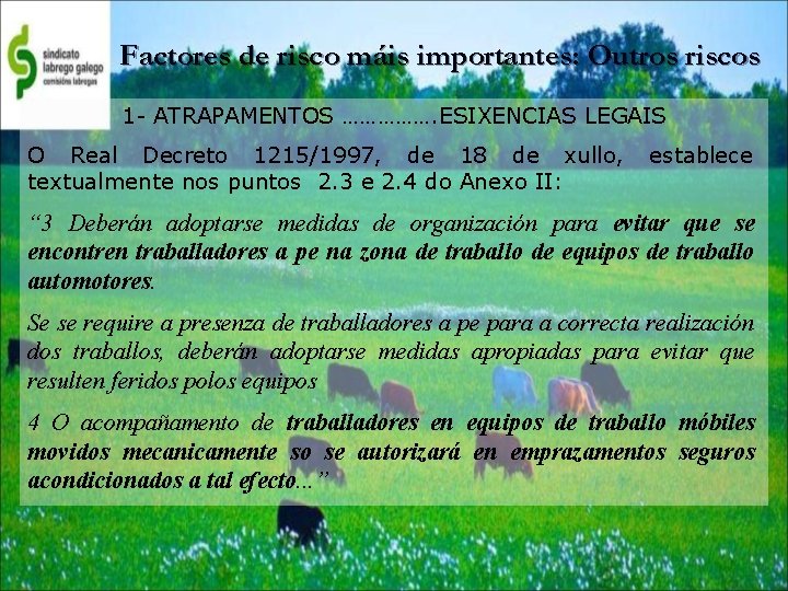 Factores de risco máis importantes: Outros riscos 1 - ATRAPAMENTOS ……………. ESIXENCIAS LEGAIS O