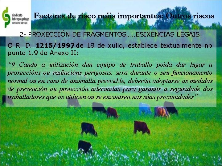 Factores de risco máis importantes: Outros riscos 2 - PROXECCIÓN DE FRAGMENTOS…. . ESIXENCIAS