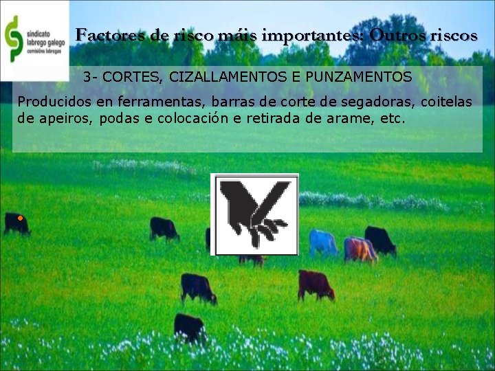 Factores de risco máis importantes: Outros riscos 3 - CORTES, CIZALLAMENTOS E PUNZAMENTOS Producidos