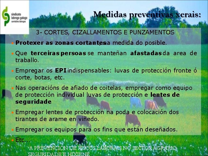 Medidas preventivas xerais: 3 - CORTES, CIZALLAMENTOS E PUNZAMENTOS • Protexer as zonas cortantes