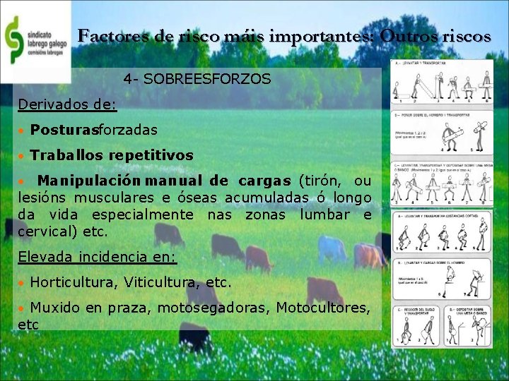 Factores de risco máis importantes: Outros riscos 4 - SOBREESFORZOS Derivados de: • Posturasforzadas