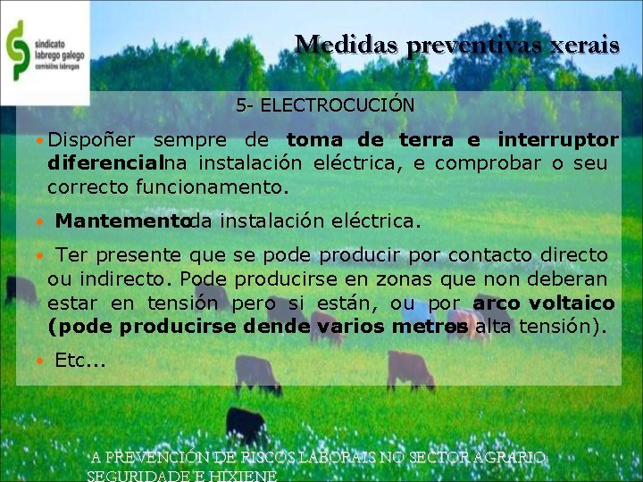 Medidas preventivas xerais 5 - ELECTROCUCIÓN • Dispoñer sempre de toma de terra e