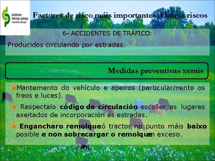 Factores de risco máis importantes: Outros riscos 6 - ACCIDENTES DE TRÁFICO: Producidos circulando