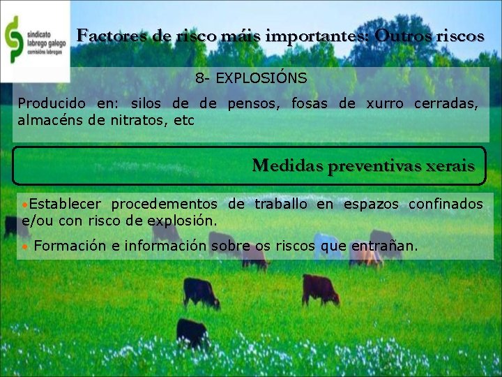 Factores de risco máis importantes: Outros riscos 8 - EXPLOSIÓNS Producido en: silos de